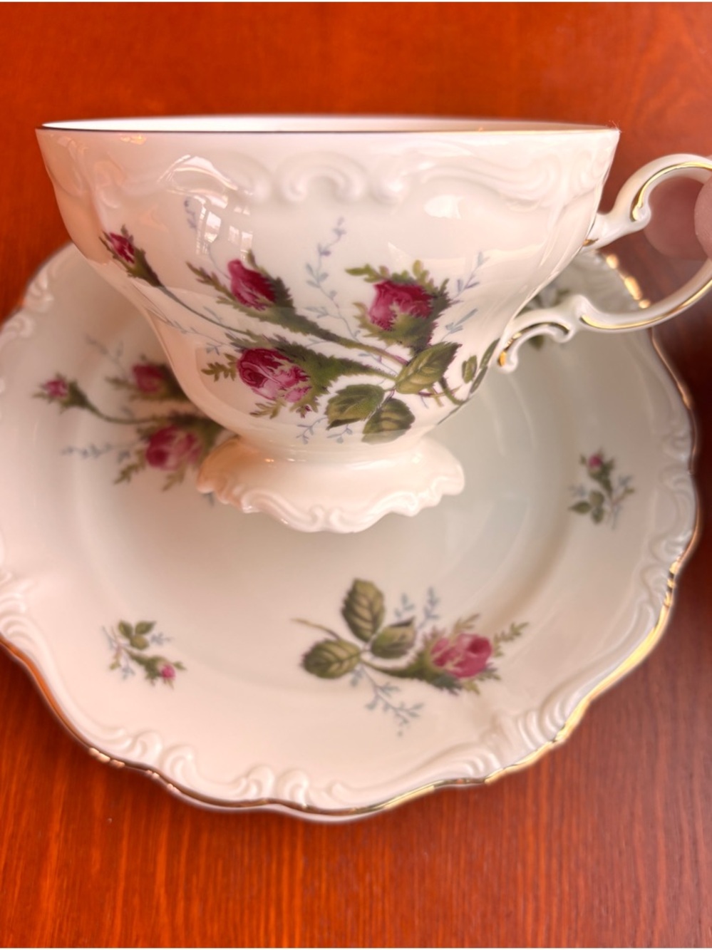 Rosenthal Moss Rose Teacup and Saucer Germany Vintage